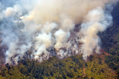 Fotografía aérea que muestra las zonas afectadas por el incendio forestal de grandes proporciones, que afecta la meseta de Pinares de Mayarí, en el municipio de Mayarí, provincia de Holguín (Cuba), en una fotografía de archivo. EFE/ Juan Pablo Carreras