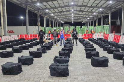 Cifra. 450  toneladas  de drogas han sido destruidas desde 2021. El 82 % a través del proceso de encapsulamiento. El restante, ha sido quemado.