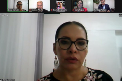 Sesión. Diana Atamaint dirigió la reunión de trabajo, el sábado.