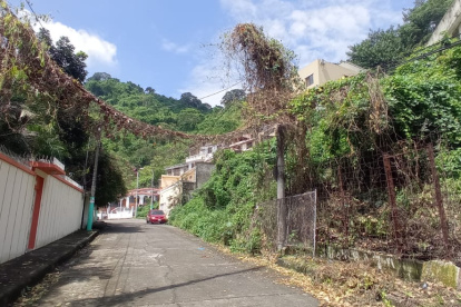 En algunos puntos del vecindario se observa a la maleza creciendo en estructuras ya del entorno.