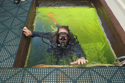Fotografía cedida por la Oficina de Noticias de los Cayos de Florida donde aparece el investigador Joseph Dituri mientras ingresa, el miércoles 1 de marzo al albergue submarino Jules Undersea Lodge, en Key Largo, Florida (EEUU).