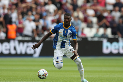 Moises Caicedo se ha ganado rápidamente el cariño de Las Gaviotas (fans del Brighton)