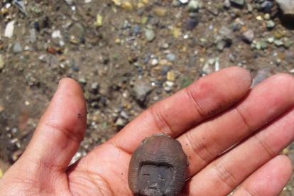 Una pequeña figura encontrada en Valdivia
