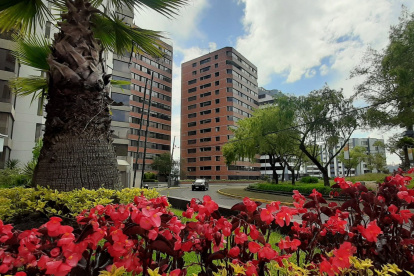 Antiguos. Existen edificios de hace años, algunos remodelados y también construcciones más modernas. Los rótulos de venta o arriendo están en muchos de los departamentos.