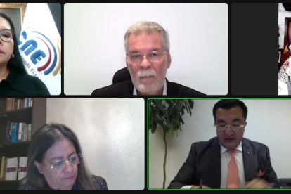 Sesión virtual del Pleno del Consejo Nacional Electoral.