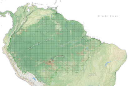 Mapa de la Amazonía en el que se aprecia en rojo la pérdida de bosques observada.