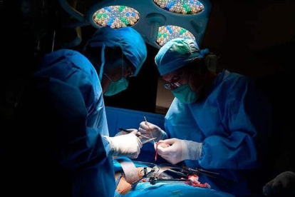 Este síndrome consiste en la ingestión del propio cabello, a veces asociado a la tricotilomanía