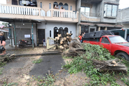 Agente técnicos se acercaron al lugar para retirar el tronco caído