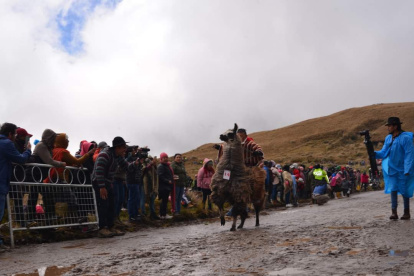 La competencia. La ‘llamingada’ es una carrera que impulsa el cuidado de los humedales en los páramos.