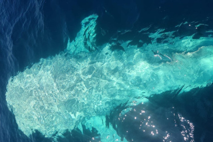 Fotos tomadas tomadas por la tripulación de la embarcación Vértigo II.