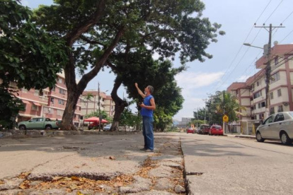 Los moradores advertían el peligro de los enormes árboles