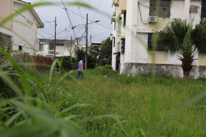 Situación. El monte ha tapado casi todo el parque del sector.3