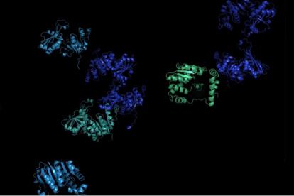 ESMFold, el sistema de IA desarrollado por Meta, ha logrado predecir la estructura de más de 740 millones de estas moléculas.