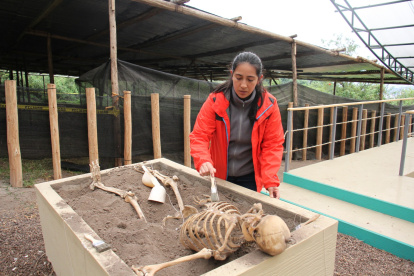Actividad. En la Unidad 6, los niños pueden excavar para hallar esqueletos y réplicas de artefactos usando técnicas arqueológicas.