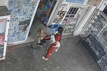 Los empleados de la veterinaria se preocuparon por salvar la vida de los animales que estaban en el lugar