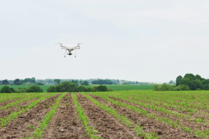 Los drones cuentan con un gps de precisión que ayuda al agricultor a conocer la superficie de su terreno