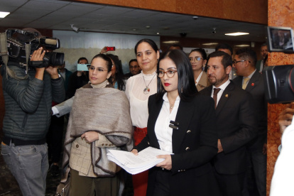 El 16 de marzo pasado ingresó la solicitud de juicio contra el mandatario y desde entonces se han encontrado varias novedades en el documento de sustento.