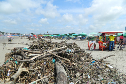 Estos son apenas algunos de los troncos que la comunidad ha retirado este fin de semana.