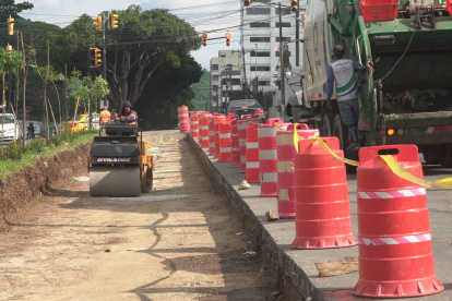 Sitio. Así es el escenario en un tramo del parterre central de la avenida Leopoldo Carrera.