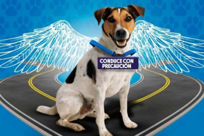 Emaseo pide mayor cuidado y atención a los propietarios.