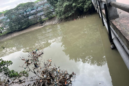Fundas y tarrinas se observan colgando de los ramales del Salado.