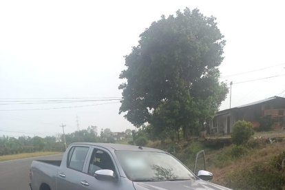 No se ha precisado el tipo de los automotores recuperados, pero se mostró imágenes de camionetas