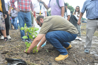 La primera siembra se realizó en la ciudad de Milagro.