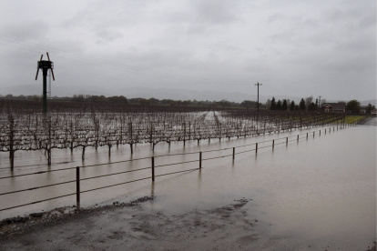 La inundación de viñedos y caminos rurales se presentan tras una reciente tormenta en Sonoma (California, EE.UU.).
