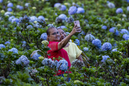 Personas visitan "El Campo de las Mil flores en el crucero municipio de la ciudad de Managua.