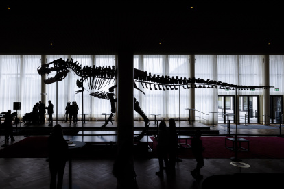 La casa de subastas Koller, esta a cargo de una polémica subasta. La veterana firma familiar pondrá a la venta los restos junto a otros “objetos extraordinarios”, como el traje de un cosmonauta soviético o un meteorito marciano.