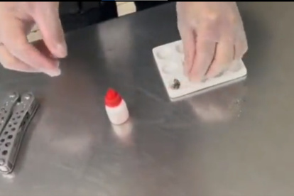 Parte de la droga fue encontrada en granos de café.