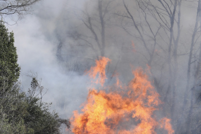 Unos bomberos trabajan este viernes en las tareas de extinción del incendio que comenzó esta madruga en las laderas del monte Naranco, en las cercanías del casco urbano de Oviedo. El gerente de Bomberos de Asturias, Óscar Rodríguez, ha afirmado este viernes en declaraciones a los medios que la oleada de incendios forestales provocados que se vienen registrando en Asturias en los últimos días constituye algo "inaudito" que nunca había visto en toda su carrera profesional. EFE/ J.L. Cereijido