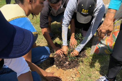 Las especies fueron plantadas en la cooperativa Julio Col 2.