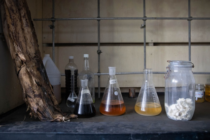 Fotografía de las etapas para convertir hoja de plátano en celulosa.