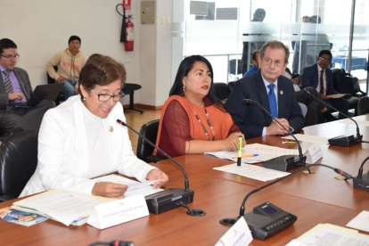 Gina Aguilar, presidenta de la institución, en la mesa legislativa.