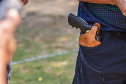 El porte y tenencia deberá cumplir con los requisitos establecidos en la normativa