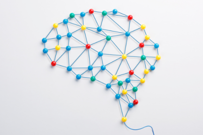 El nuevo atlas neuronal de la larva de la mosca del vinagre incluye 3.016 neuronas.