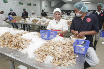 El camarón es uno de los productos con mayor potencial de venta.