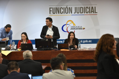 Resolución. La jueza dirigió la audiencia de acción de protección contra el presidente Guillermo lasso.