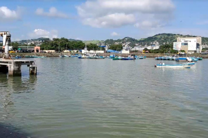 Algunos de los cadáveres continúan en las bodegas del Puerto