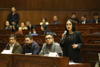 Viviana Veloz, una de las proponentes, en la primera sesión del juicio.
