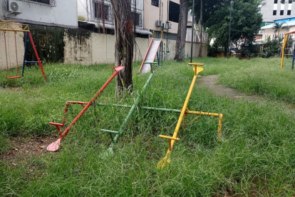 Pedido. La comunidad reclama por una intervención en el sitio.