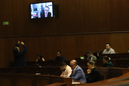 Análisis. La Comisión de Fiscalización prevé reunirse el viernes 14 de abril para revisar la prueba solicitada.