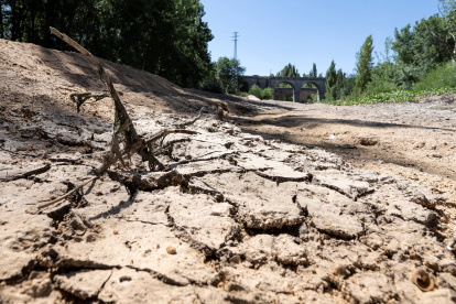 En la imagen, cauce del río Adaja a su paso por la provincia española de Ávila.
