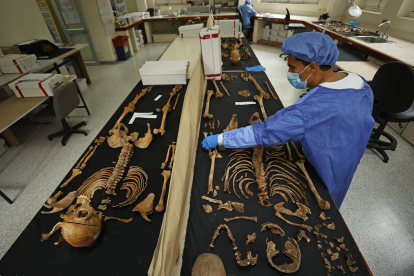 Investigación. Un forense de medicina legal analiza un esqueleto, en Bogotá.