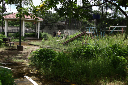 Descuido. La maleza ha invado por completo el espacio y el único mantenimiento que recibe, es dado por los habitantes.