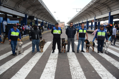 Control. Los canes asisten a los supervisores de seguridad en dar cumplimiento a las normas de seguridad, evitando los altercados entre pasajeros y detectando armas blancas y estupefacientes.