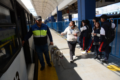 Equipo. Los canes de la patrulla K9 fueron adoptados de las estaciones del Trole y la Ecovía.