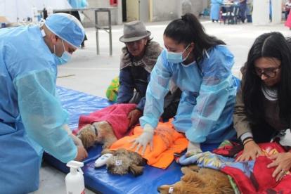 Intervención. Los especialistas de la UBA fueron a Nono (noroccidente de Pichincha) el fin de semana.