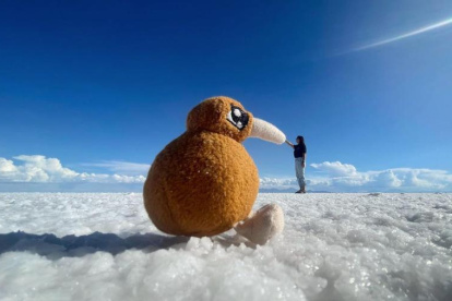 Kimberley y su peluche Kiwi viajan solos. La joven es originaria de Auckland, Nueva Zelanda